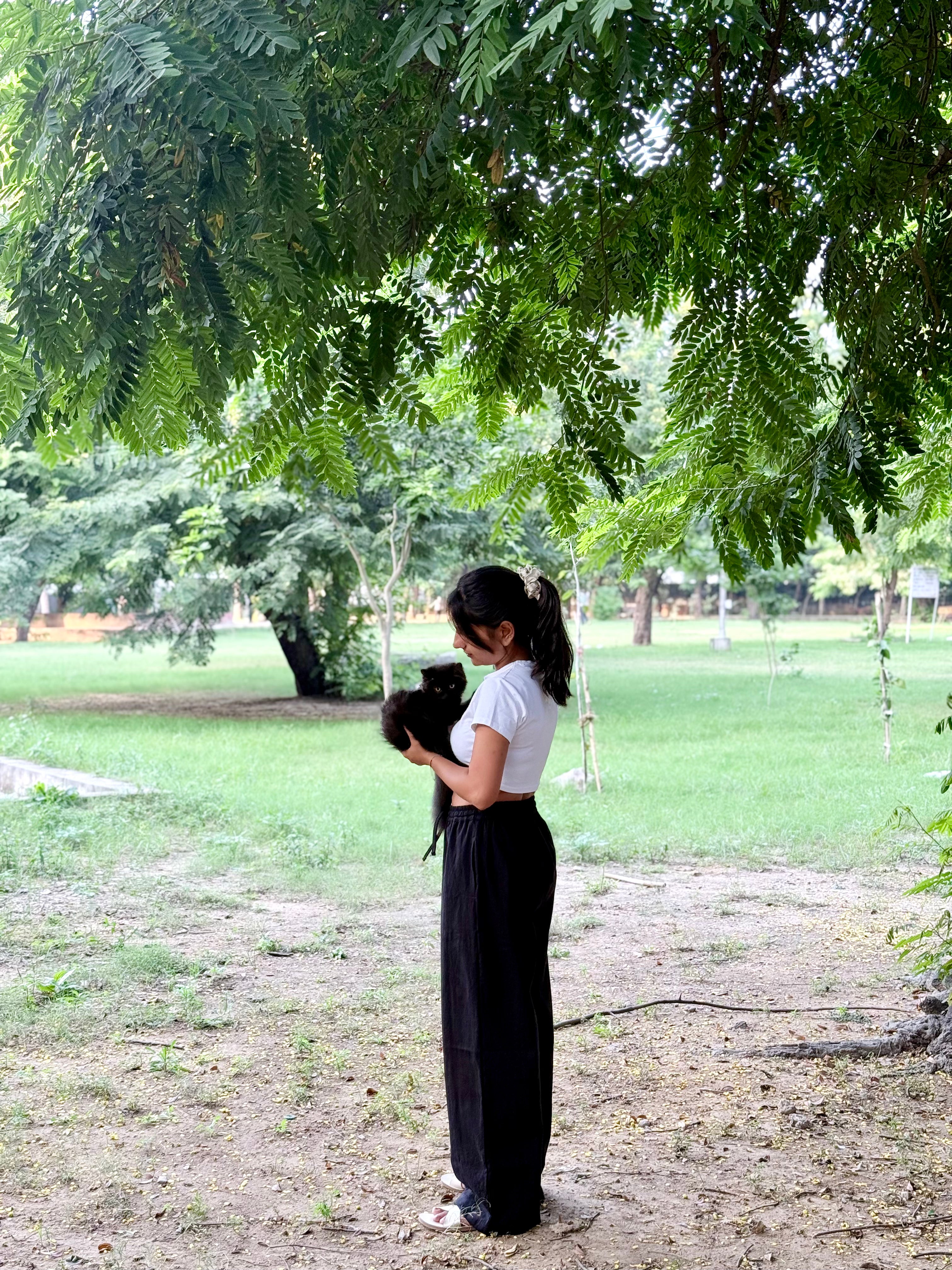 Straight fit pants
