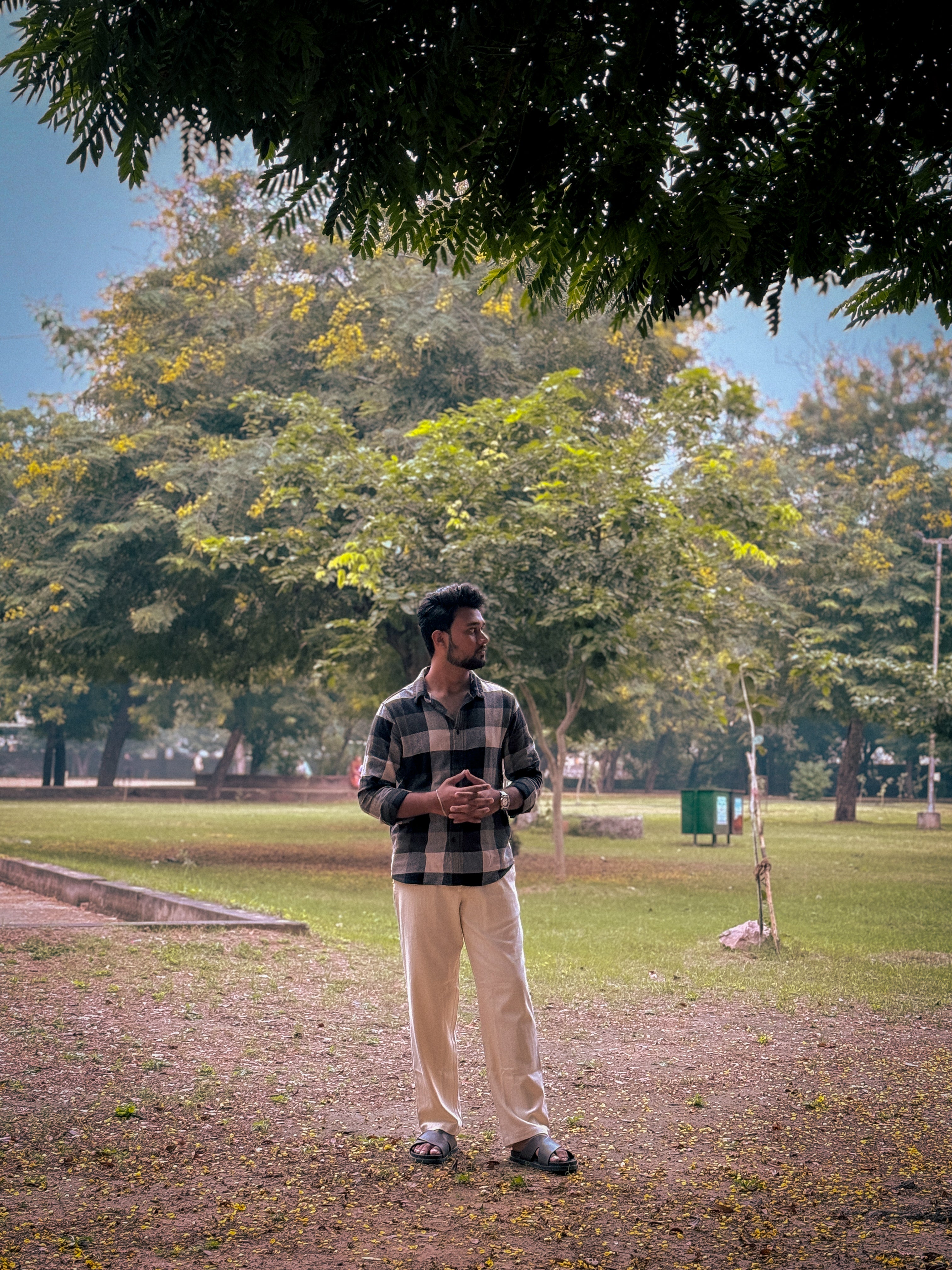 Straight Fit Pants for Mens